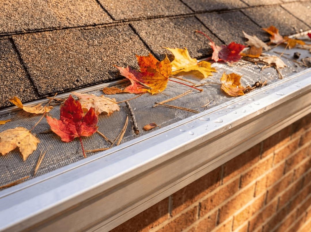 Fall Debris Protection