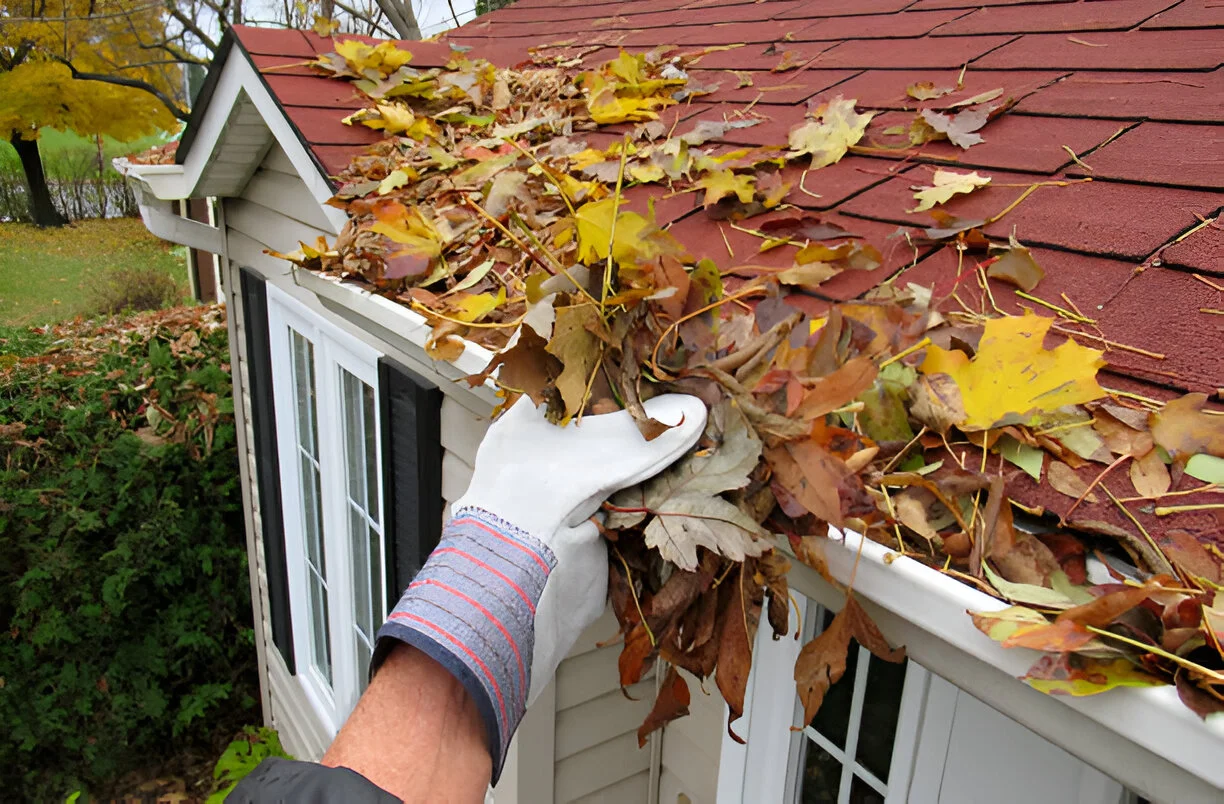 The Impact of Tree Types on Gutter Clogging